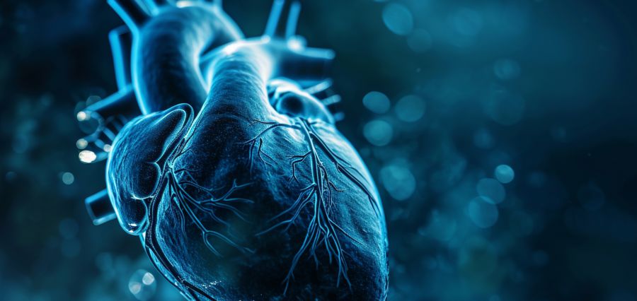 Prolonged Exposure to Black Carbon May Lead to Risk of Cardiac Fibrosis